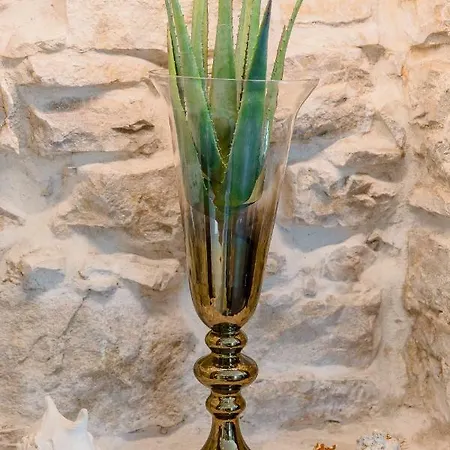 Apartamento Luxury Petra In 400 Year Old Stone House 4+2